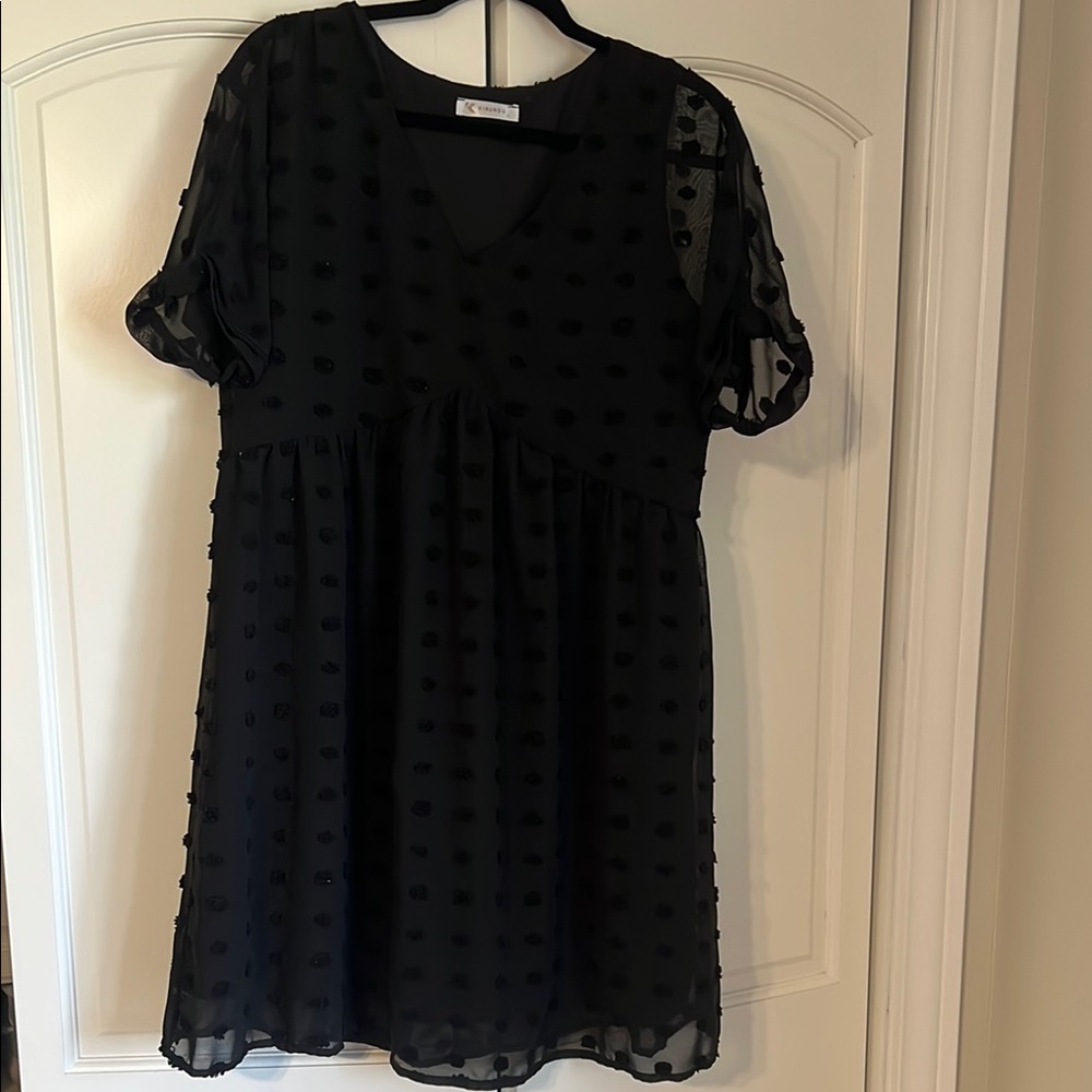 Black Sheer Polka Dot Dress